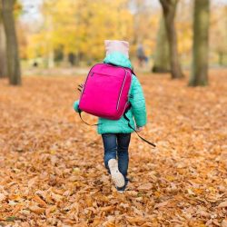 Aws Autumn Girl Walking In The Fall Leaves