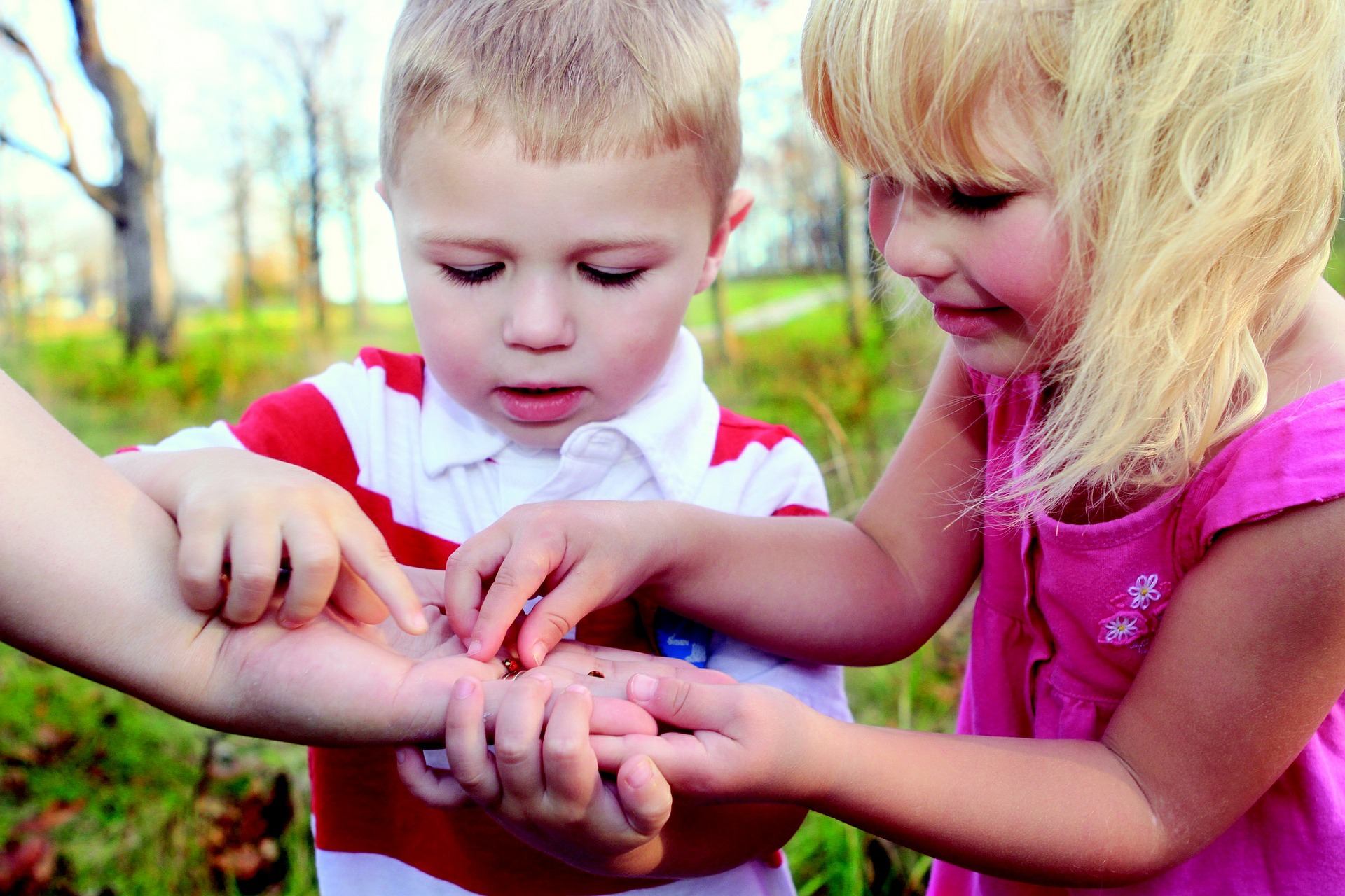 Boy and girl looking at ladybug
