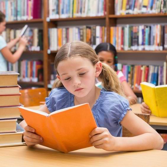 Girl In Blue Blouse Reading In A Library