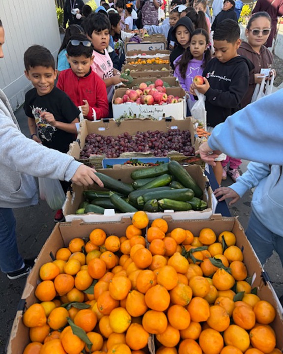 Kids in line gathering fruits and vegetables